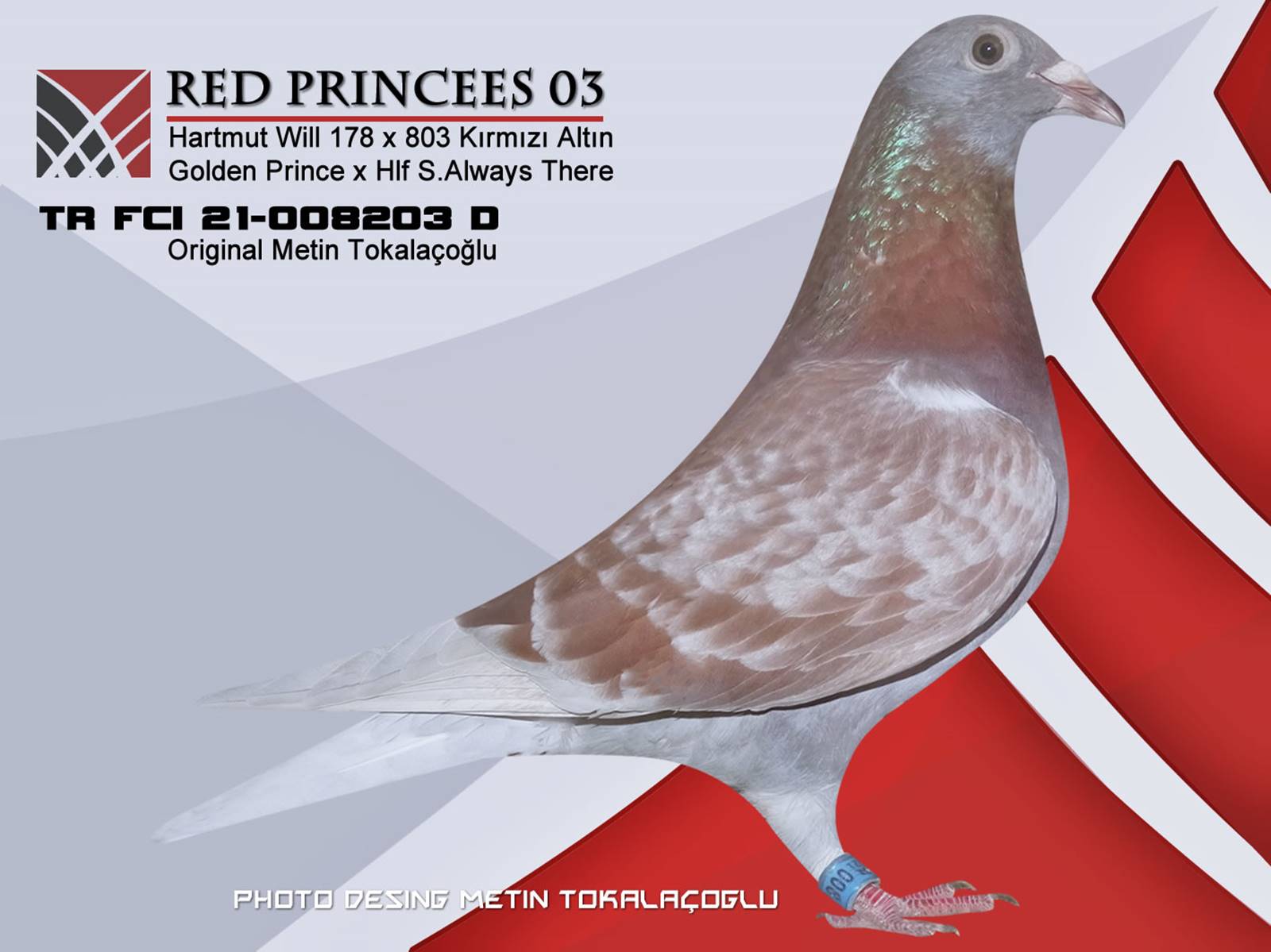 RED PRİNCESS 03 ♀ 